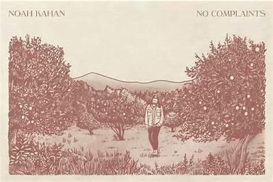 Meaning of No Complaints by Noah Kahan
