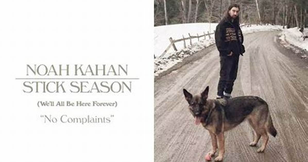 Meaning of No Complaints by Noah