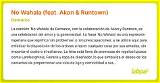 Meaning of No Wahala by Akon