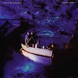 Meaning of Nocturnal Me by Echo & the Bunnymen