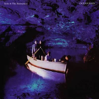 Meaning of Nocturnal Me by Echo & the Bunnymen