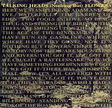 Meaning of (Nothing But) Flowers by Talking Heads