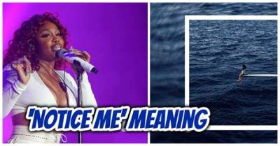 Meaning of Notice Me by Sza