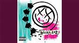 Meaning of Obvious by Blink-182
