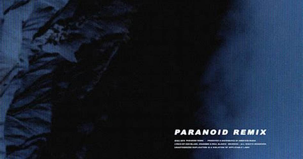 Meaning of Paranoid Remix by Big