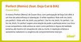Meaning of Perfect (Remix) by Doja Cat