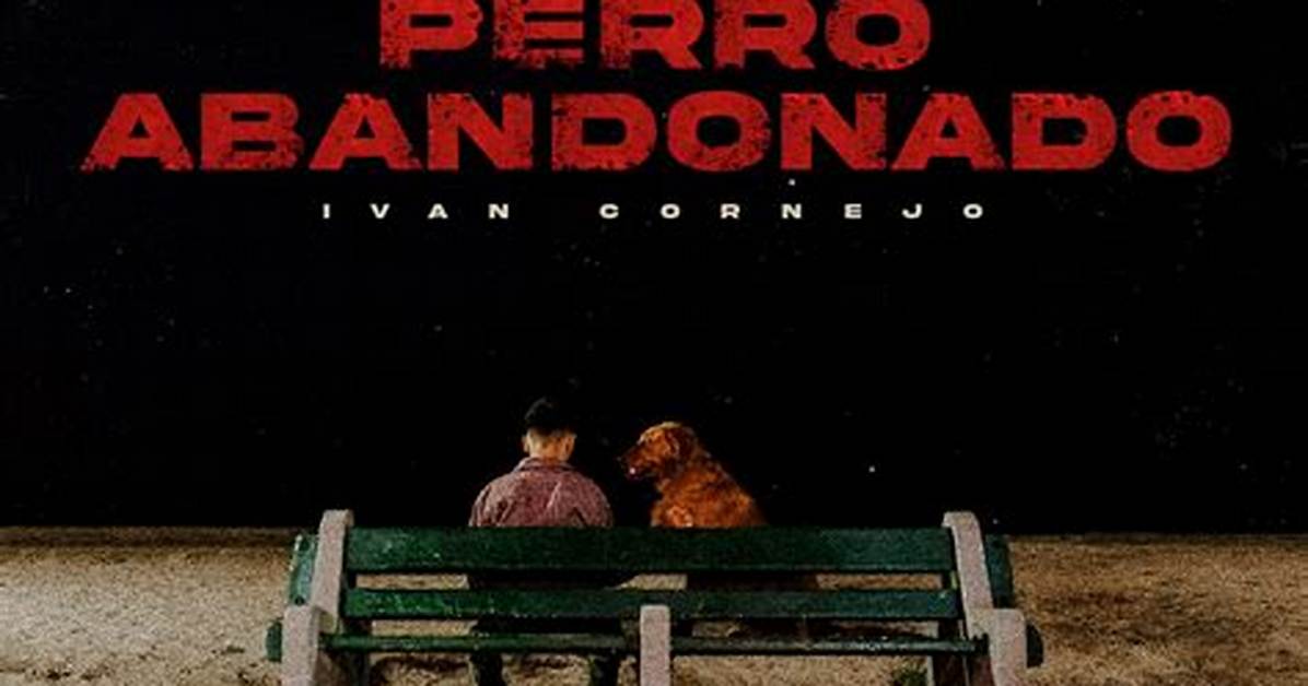 Meaning of Perro Abandonado by Ivan Cornejo