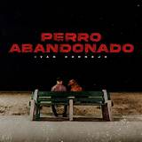 Meaning of Perro Abandonado by Ivan Cornejo