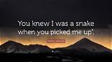 Meaning of Picked Me Up, Late One Night out the Window