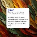 Meaning of Pmw(Pussy Money Weed) by Lil Wayne