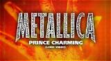 Meaning of Prince Charming by Metallica