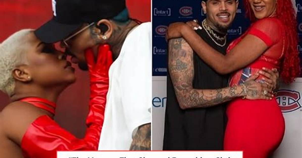 Meaning of Private Dancer by Chris Brown