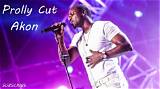 Meaning of Prolly Cut by Akon