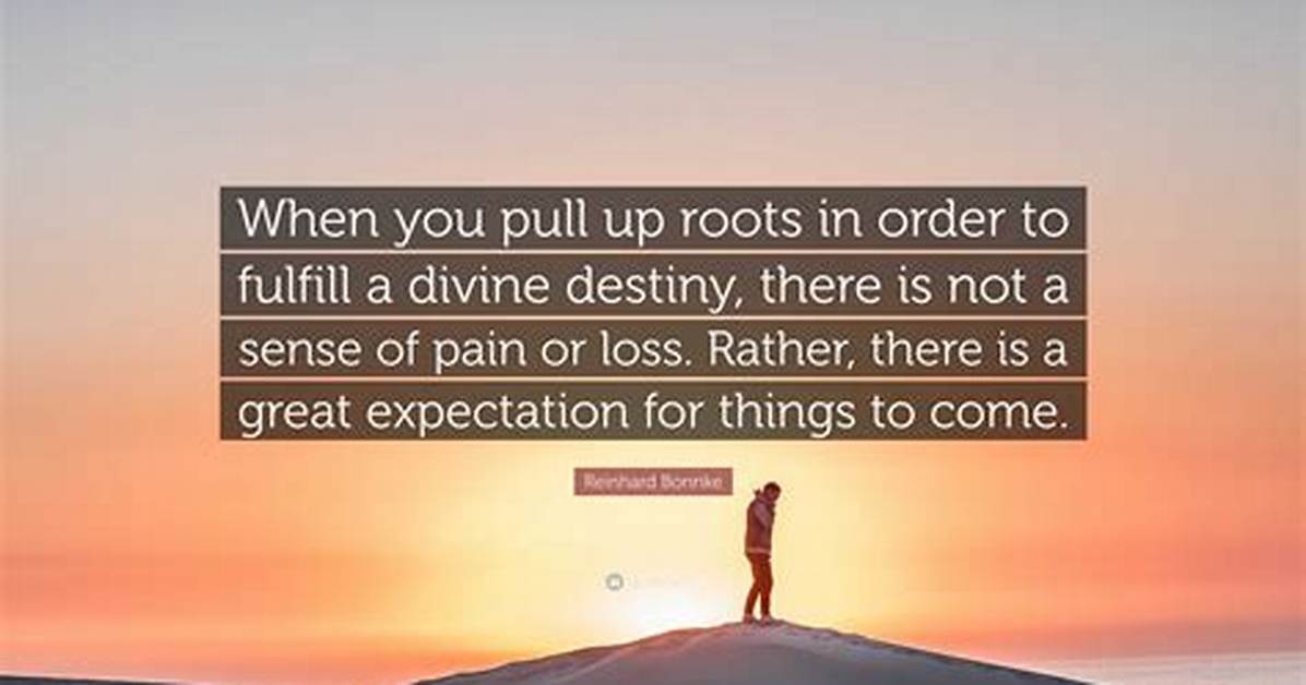 Meaning of Pull up the Roots by Talking Heads