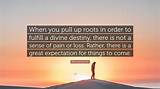 Meaning of Pull up the Roots by Talking Heads