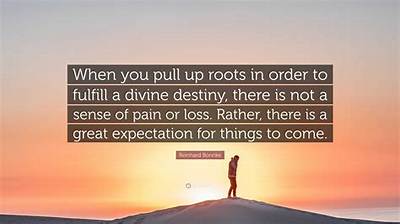Meaning of Pull up the Roots by Talking Heads