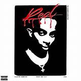 Meaning of Punk Monk by Playboi Carti