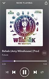Meaning of Rehab (Amy Winehouse) by Future