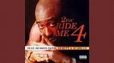Meaning of Ride 4 Me by 2Pac