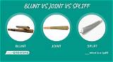 Meaning of Rip This Joint by the Rolling Stones
