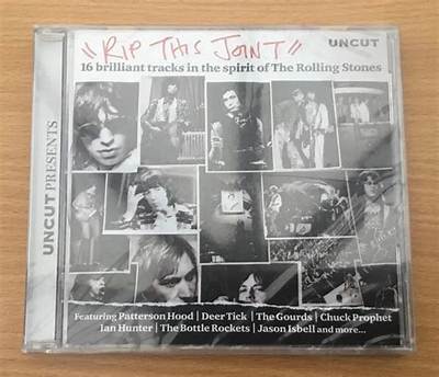 Meaning of Rip This Joint (Live 1995) by the Rolling Stones