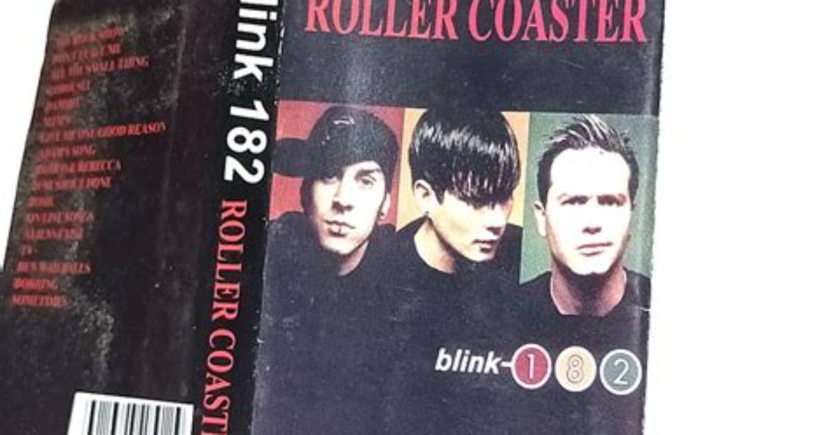 Meaning of Roller Coaster by Blink-182