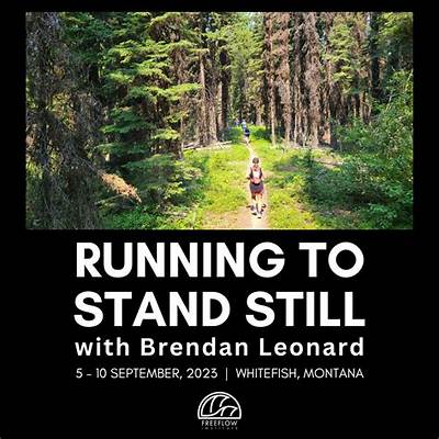 Meaning of Running to Stand Still by U2