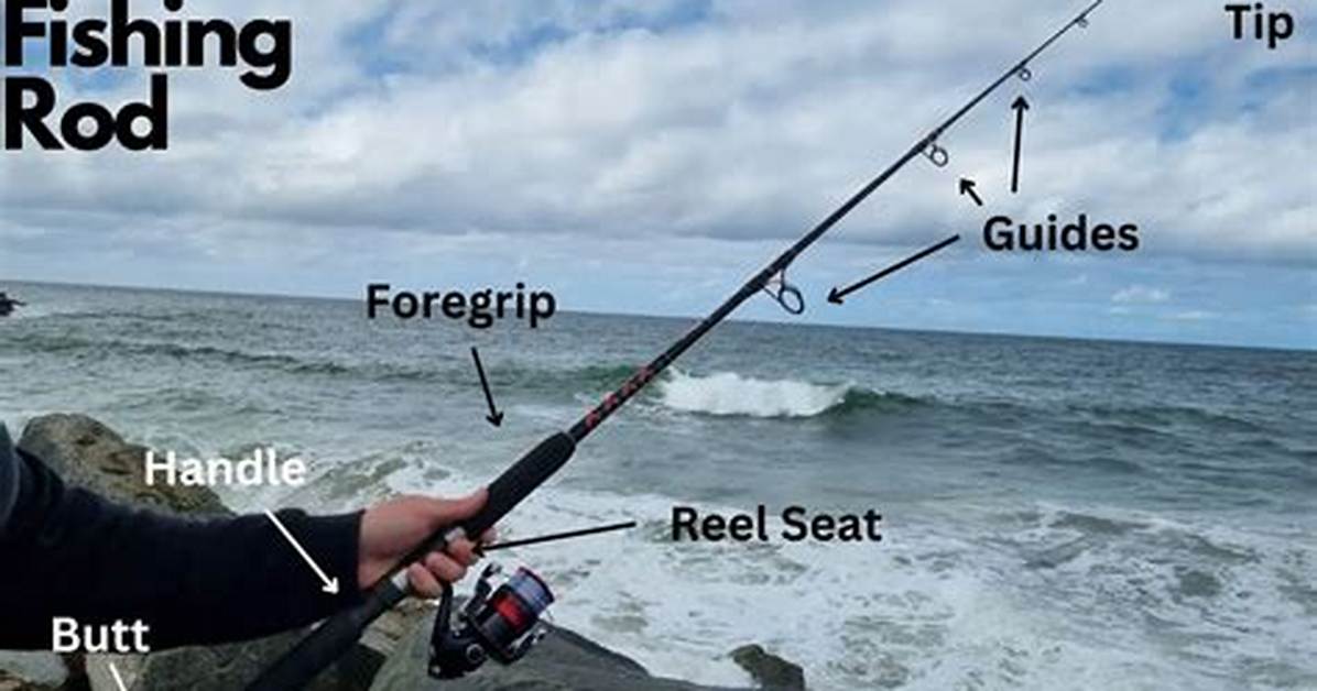 Meaning of Sack Right by Rod