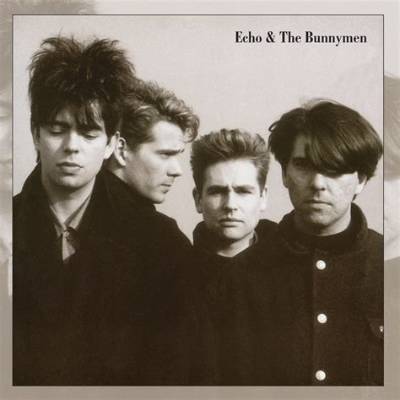 Meaning of Satellite by Echo & the Bunnymen