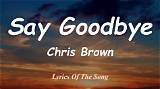 Meaning of Say Goodbye by Chris Brown