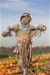 Meaning of Scarecrow in the Garden by Chris Stapleton