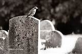 Meaning of See That My Grave Is Kept Clean by Bob Dylan
