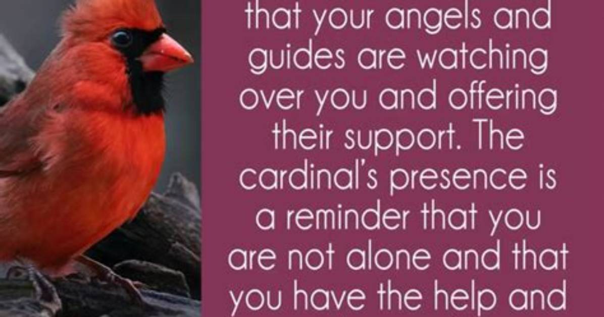 Meaning of Seeing Red Birds