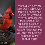 Meaning of Seeing Red Birds