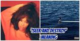 Meaning of Seek & Destroy by Sza