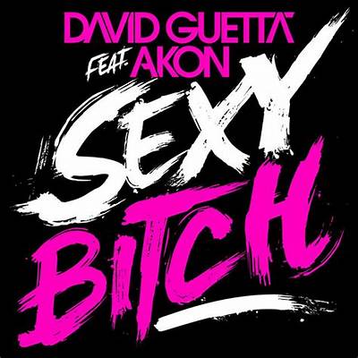 Meaning of Sexy Bitch (David Guetta Remix) [Mixed] by Akon