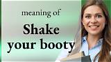 Meaning of Shake Your Booty by Public Enemy