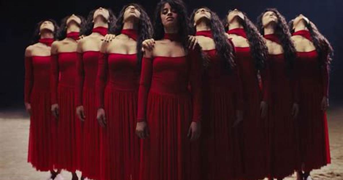 Meaning of Shameless by Camila