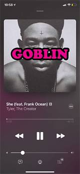 Meaning of She by Frank Ocean