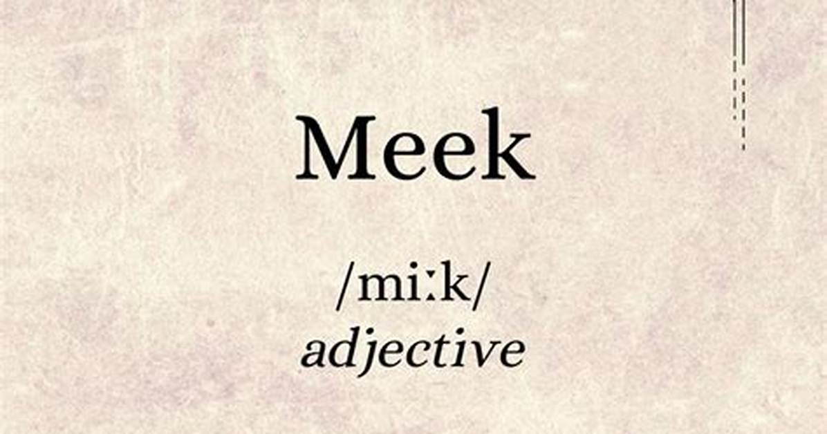Meaning of She Likes It by Meek Mill