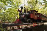 Meaning of Silver Dollar by Train