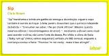 Meaning of Sip by Chris Brown