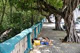 Meaning of Sleeping on the Sidewalk by Queen