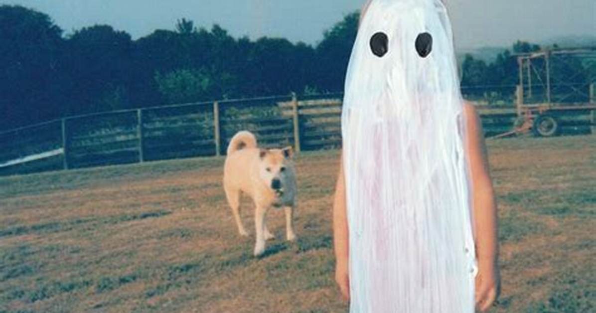 Meaning of Smoke Signals by Phoebe Bridgers