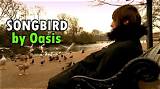 Meaning of Songbird by Oasis