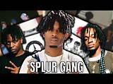 Meaning of Splur Gang by Playboi Carti