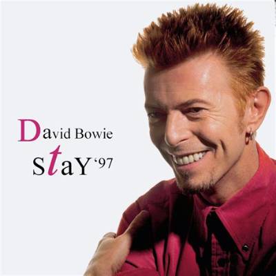Meaning of Stay by David Bowie