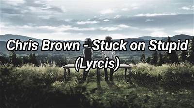 Meaning of Stuck on Stupid by Chris Brown