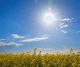 Meaning of Summer in Siam by the Pogues