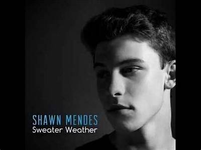Meaning of Sweater Weather by Shawn Mendes